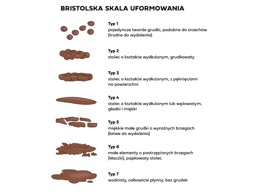 Bristolska skala uformowania stolca. Zdrowy kał. Biegunka u psa.