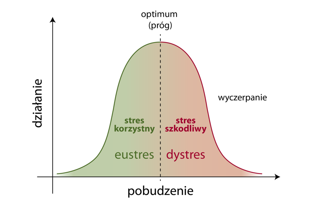 eustres – pozytywny, pomocny i motywujący rodzaj stresu, dystres – stres prowadzący do wyczerpania możliwości